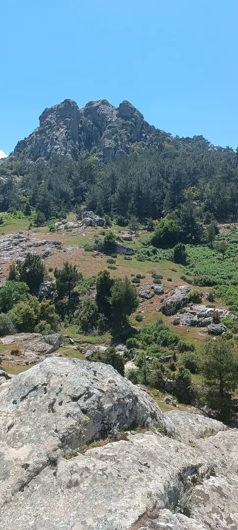 Yılmaz Camping Area — Aydın — küçük resim 5