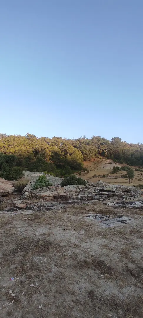 Yılmaz Camping Area — Aydın — küçük resim 4