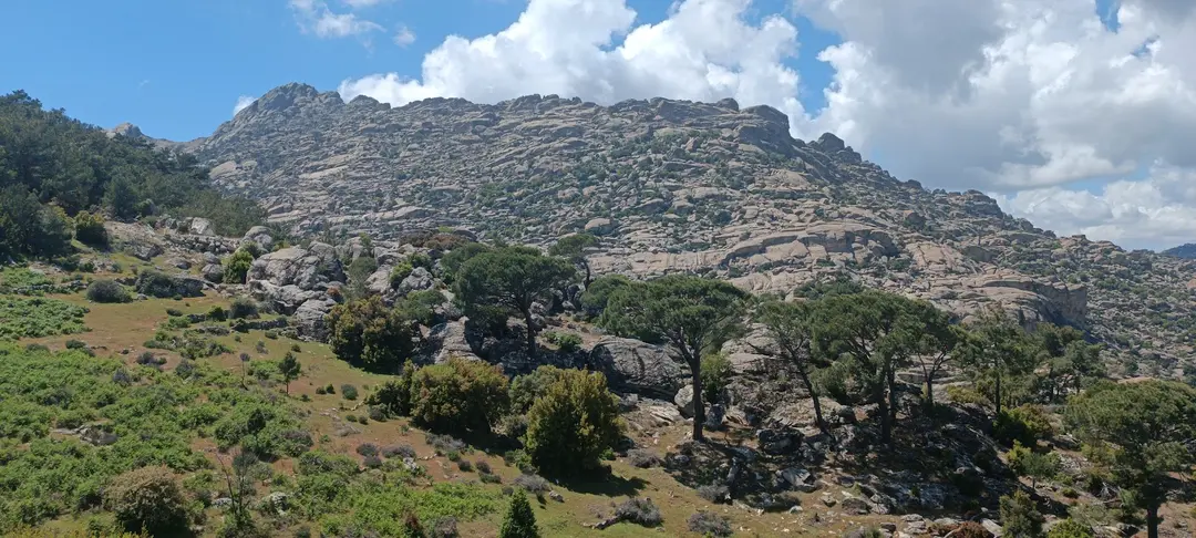 Yılmaz Camping Area — Aydın — küçük resim 6