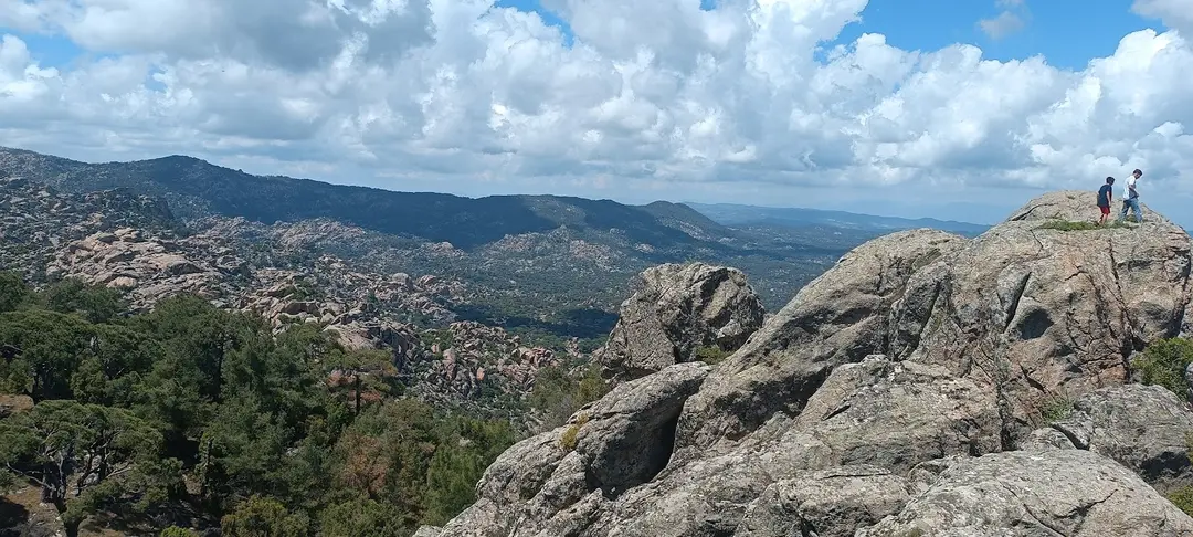 Yılmaz Camping Area — Aydın — küçük resim 7
