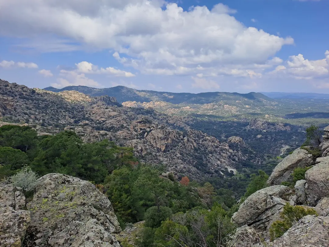 Koçarlı