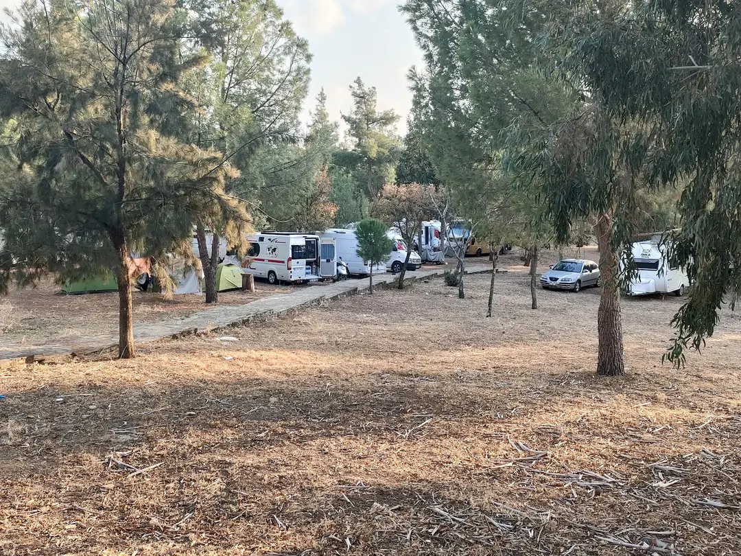 Asar Camping Caravan Area — Aydın — küçük resim 2