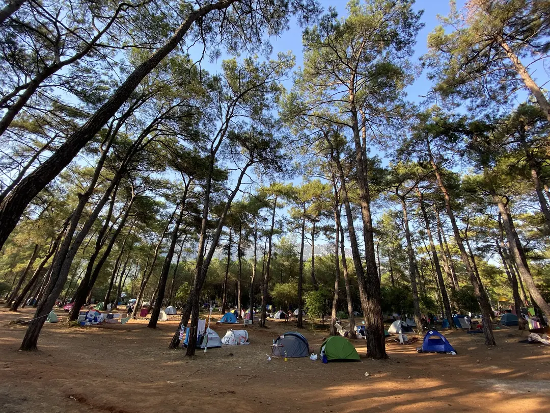 Akyaka Orman Kampı — Muğla — küçük resim 2