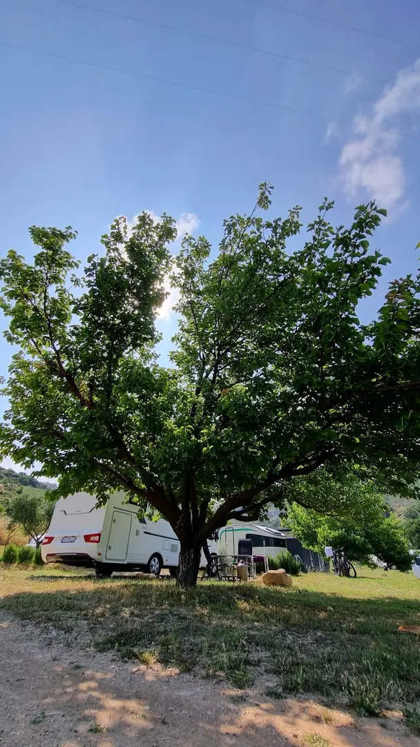 Antique Lodge Karavan Kamp — Aydın — küçük resim 6