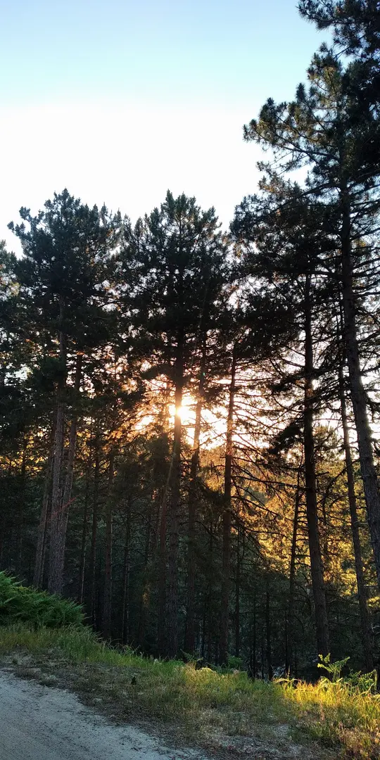 Şırlan Tabiat parkı — Aydın — küçük resim 4