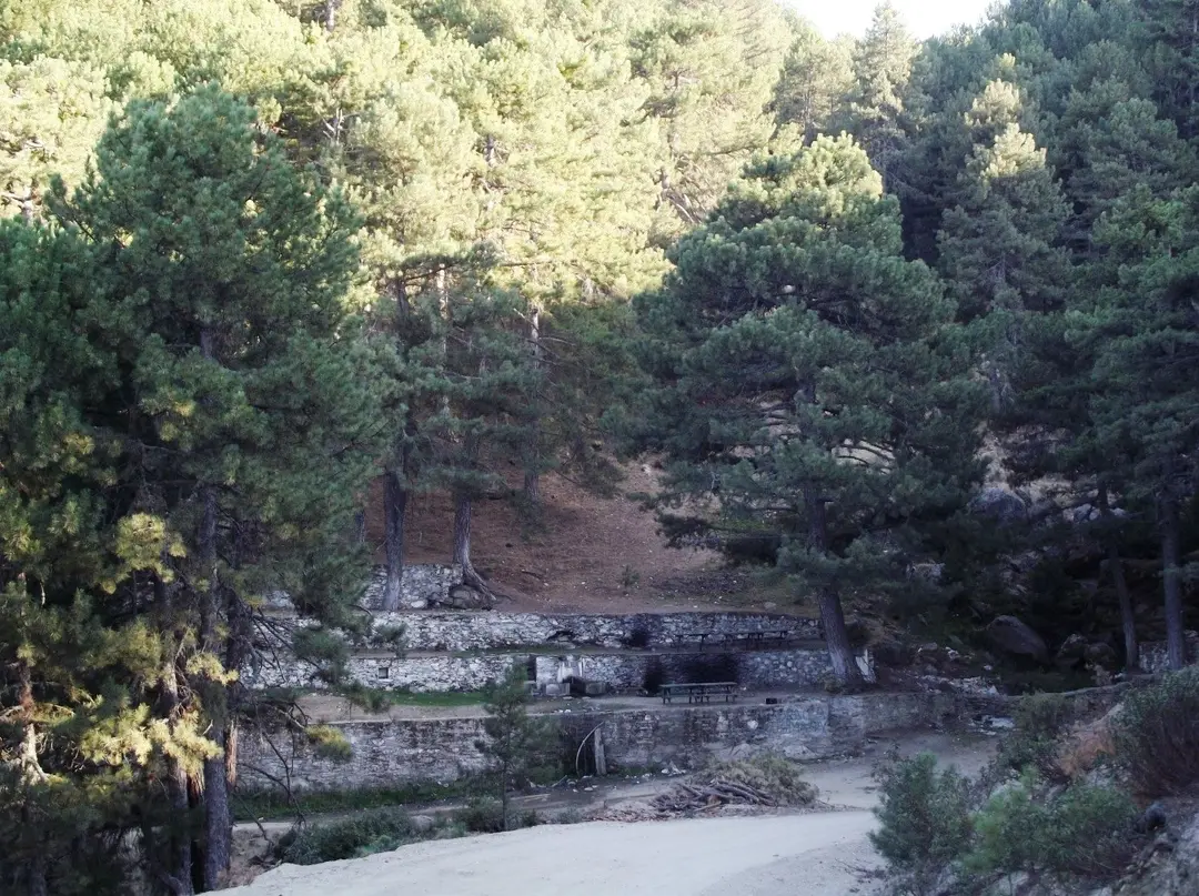 Şırlan Tabiat parkı — Aydın — küçük resim 7