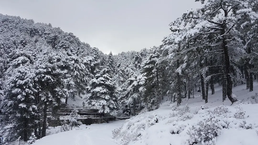 Şırlan Tabiat parkı — Aydın — küçük resim 8