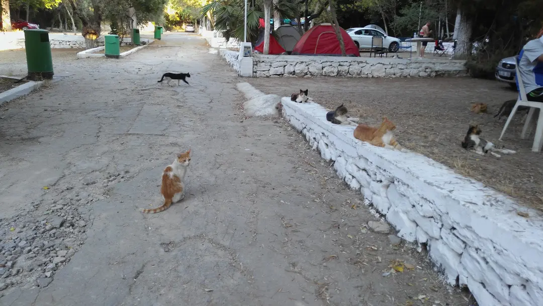 Önder Camping — Aydın — küçük resim 3
