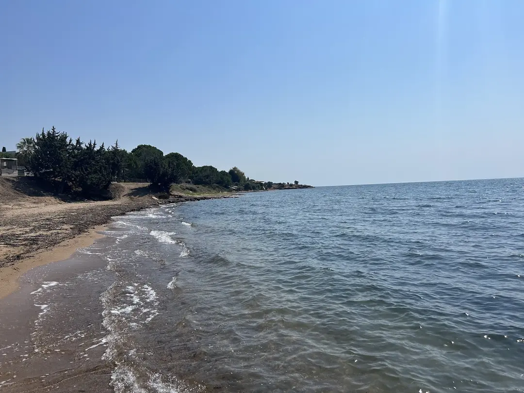 Didim Camping — Aydın — küçük resim 3