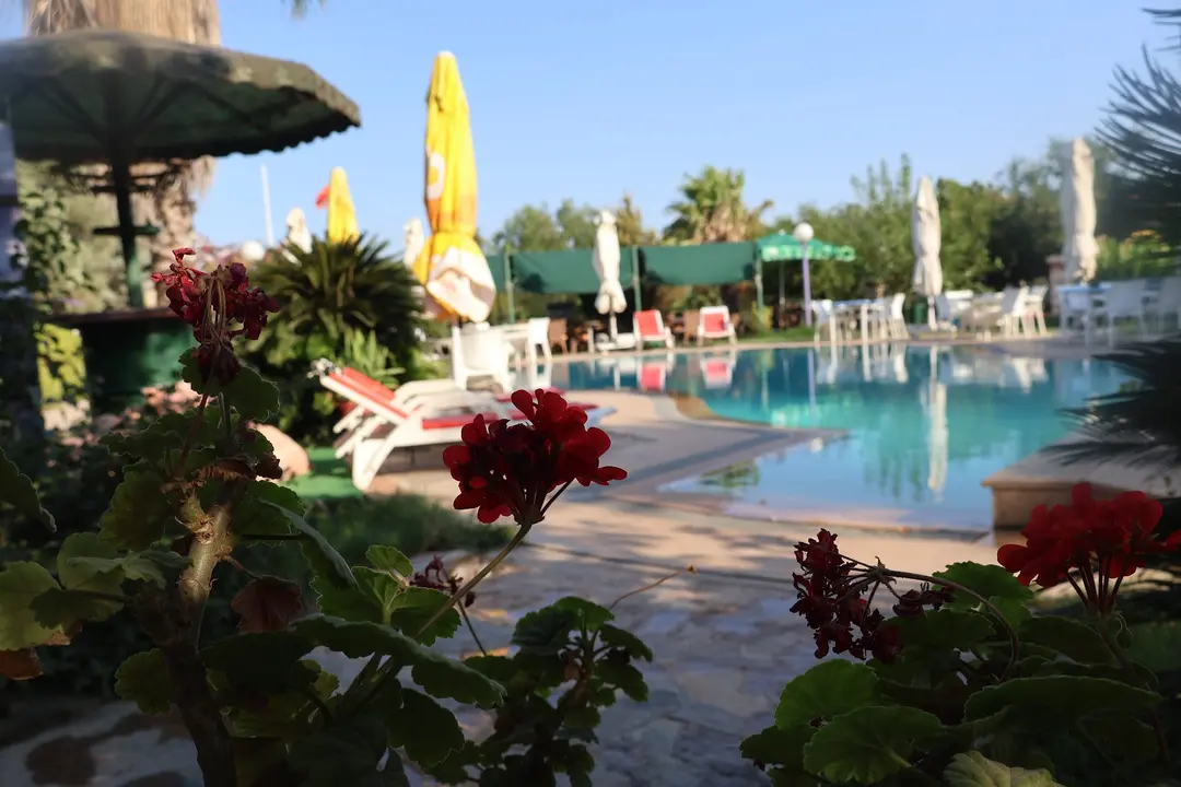 Didim Camping — Aydın — küçük resim 7
