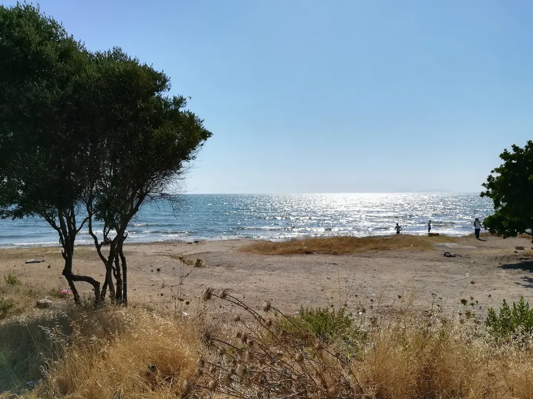 Tavşanburnu Tabiat Parkı — Aydın — küçük resim 2