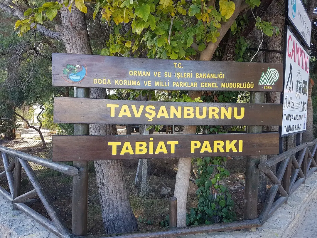 Tavşanburnu Tabiat Parkı — Aydın — küçük resim 9