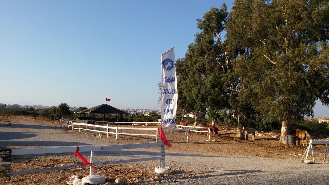 Çamlık — Aydın — küçük resim 9