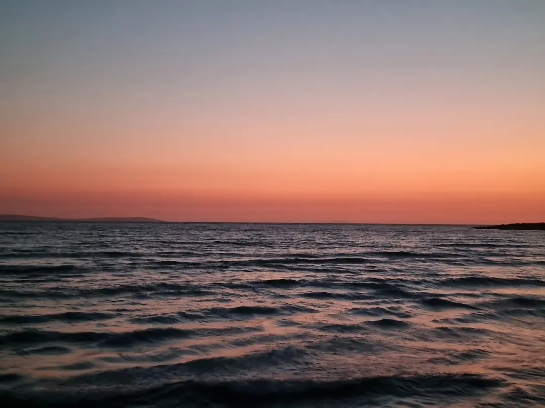 Çamlık — Aydın — küçük resim 4