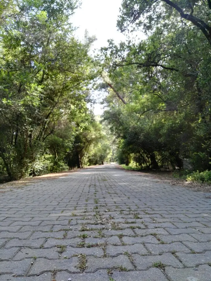 Çubucak Forest Camp — Muğla — küçük resim 3