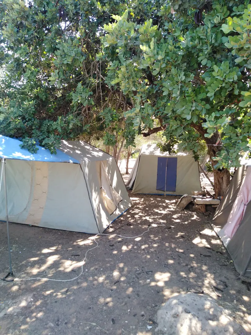 Tuğrul Cafe&camp area — Aydın — küçük resim 2