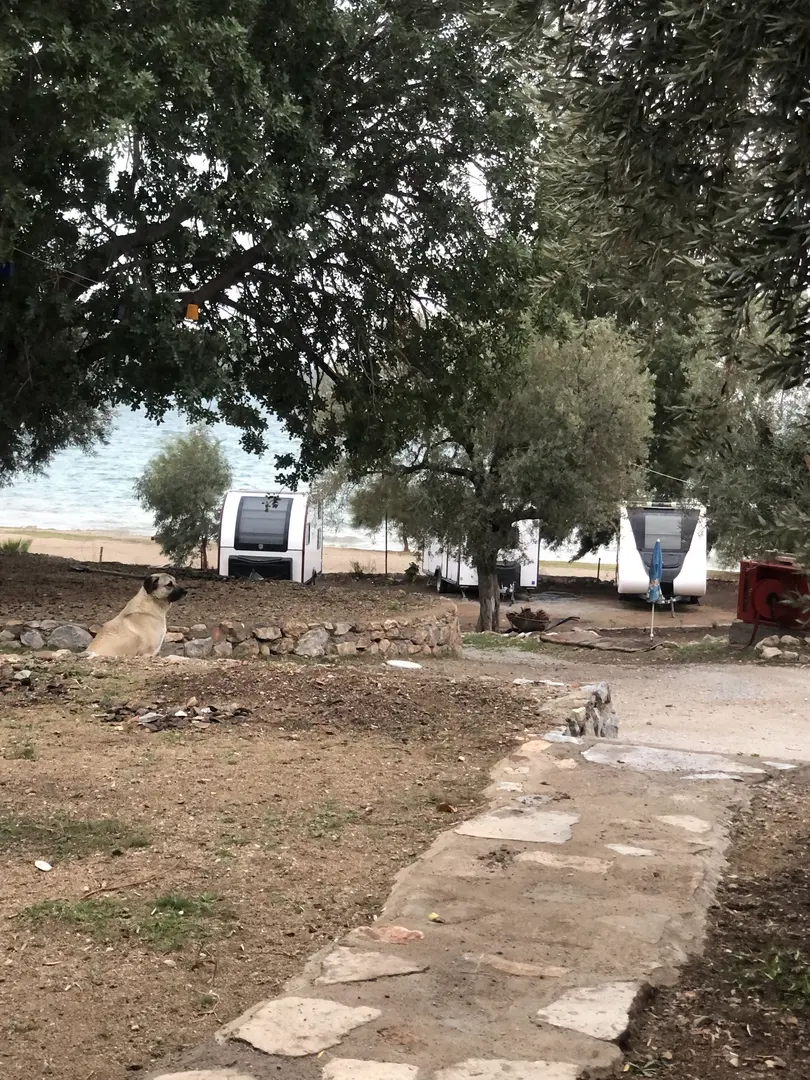 Batı yıldızı Camping — Aydın — küçük resim 2