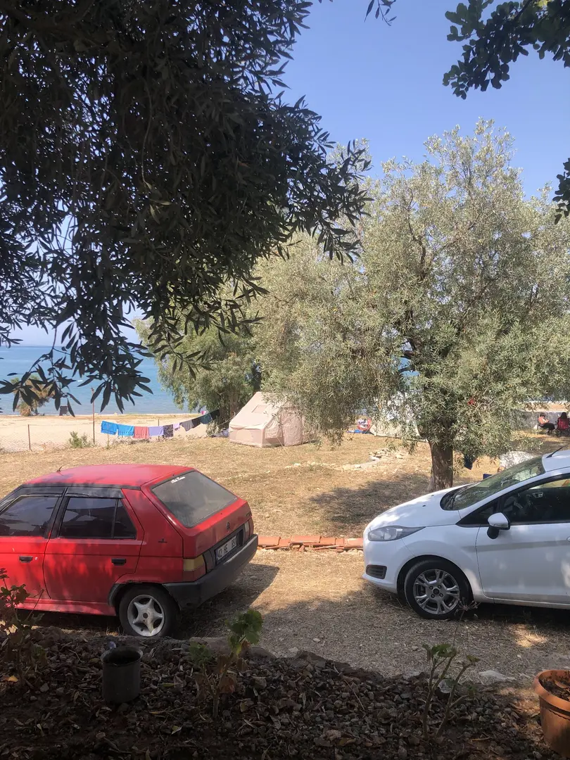 Batı yıldızı Camping — Aydın — küçük resim 7