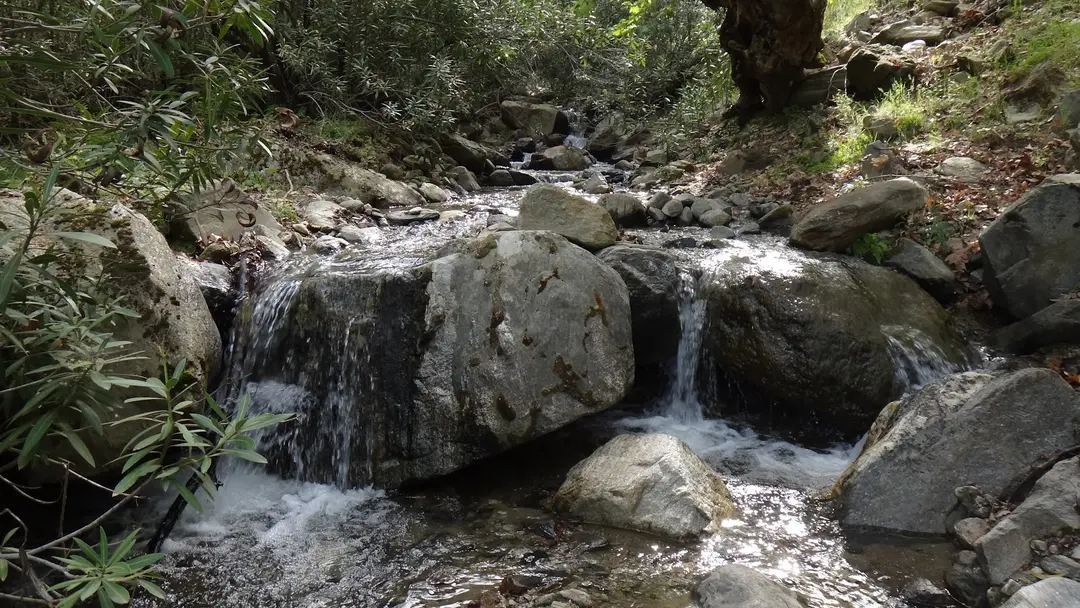 Çağlayan Nature Park — Aydın — küçük resim 8