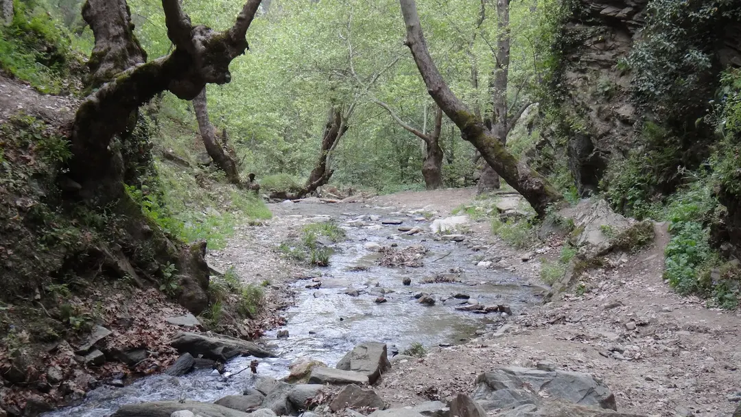 Çağlayan Nature Park — Aydın — küçük resim 3