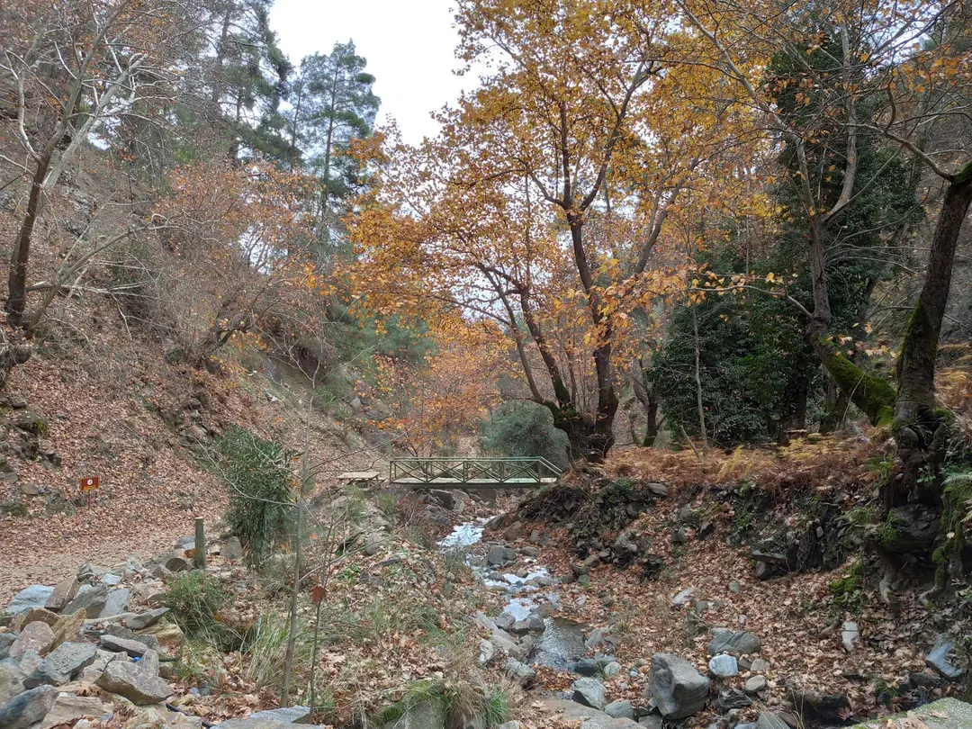 Çağlayan Nature Park — Aydın — küçük resim 4