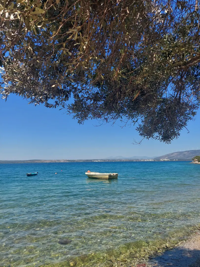 Çamlaraltı Koyu — Aydın — küçük resim 5