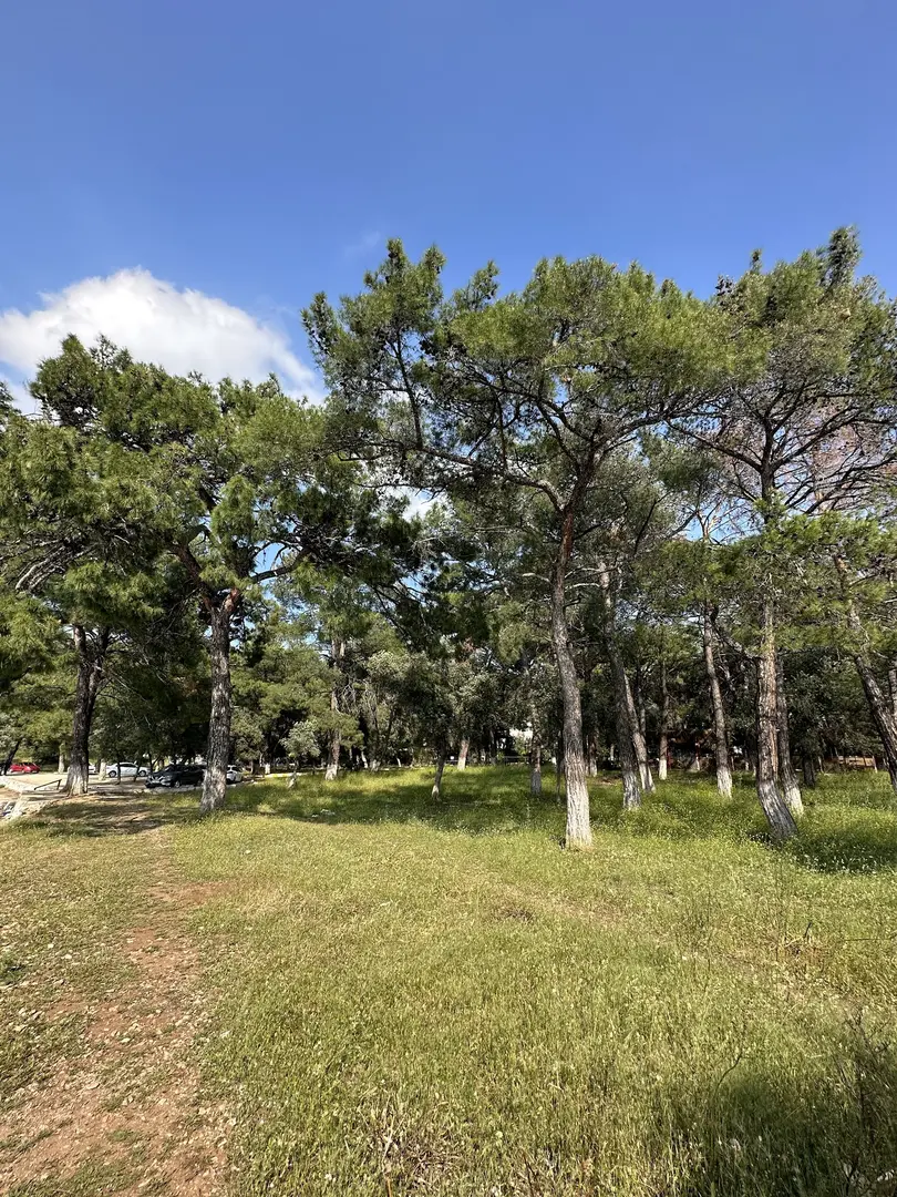 Çamlaraltı Koyu — Aydın — küçük resim 4