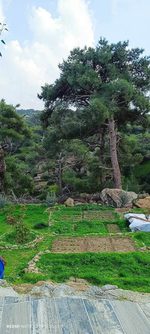 Kamp zula — Aydın — küçük resim 3