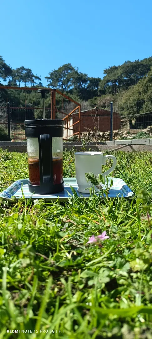 Kamp zula — Aydın — küçük resim 4