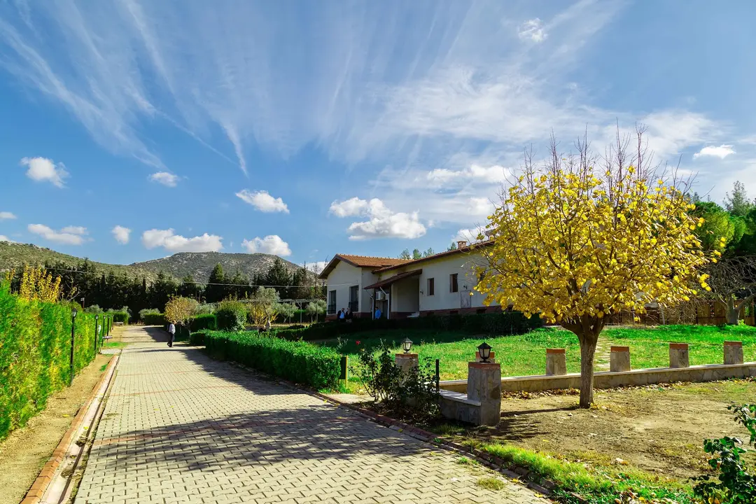Arvalya Área de Camping Privada — İzmir — küçük resim 9