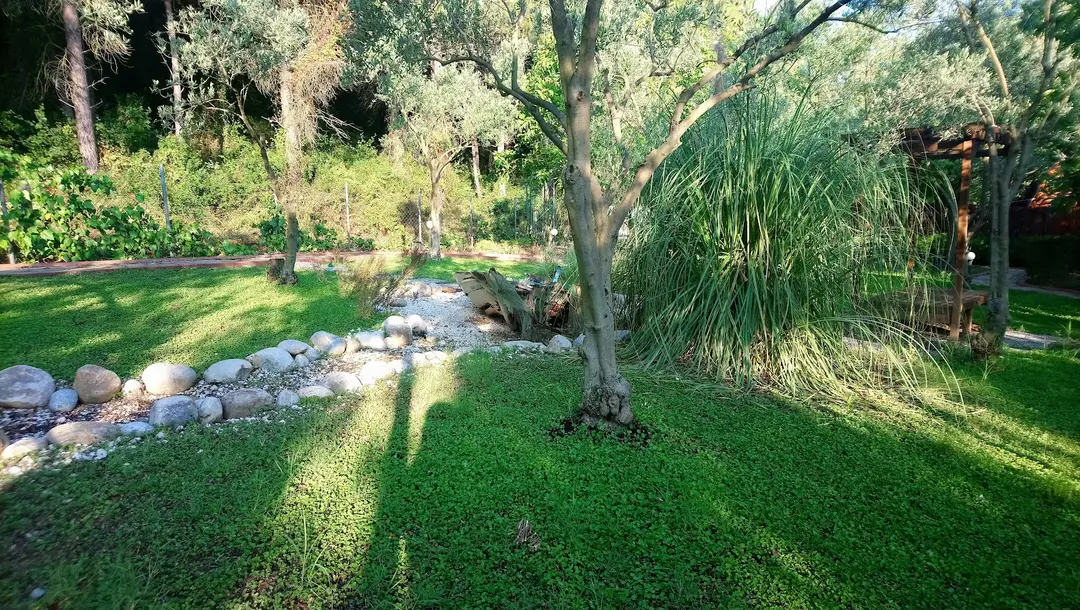 Arvalya Área de Camping Privada — İzmir — küçük resim 10