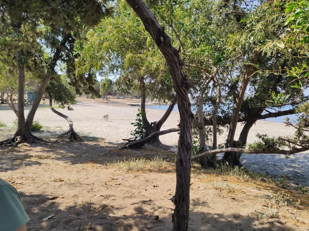 Mocamp — Aydın — küçük resim 6