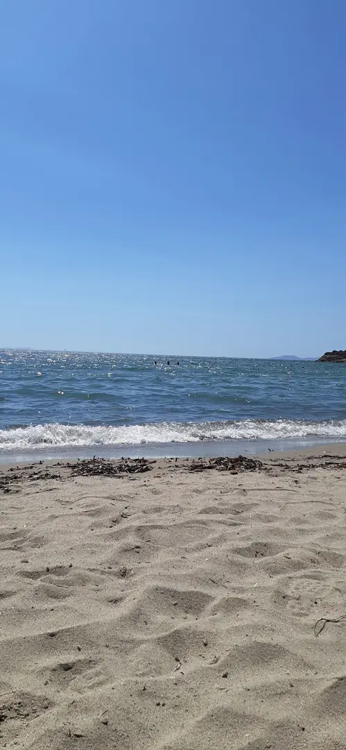 Mocamp — Aydın — küçük resim 8