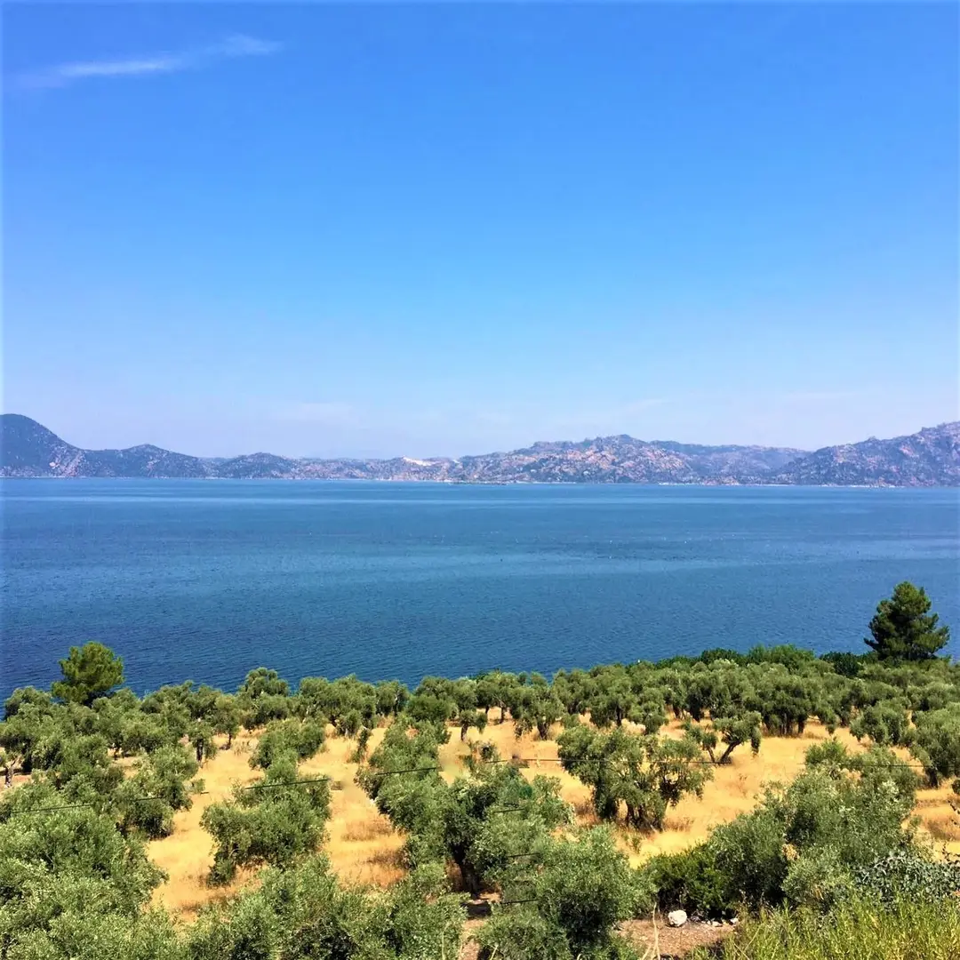 Area del Parco Nazionale Naturale — Aydın — küçük resim 7