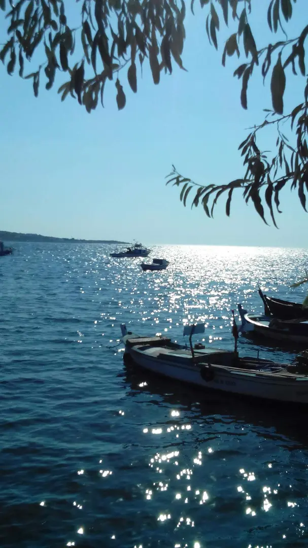 Mavişehir Didim — Aydın — küçük resim 8