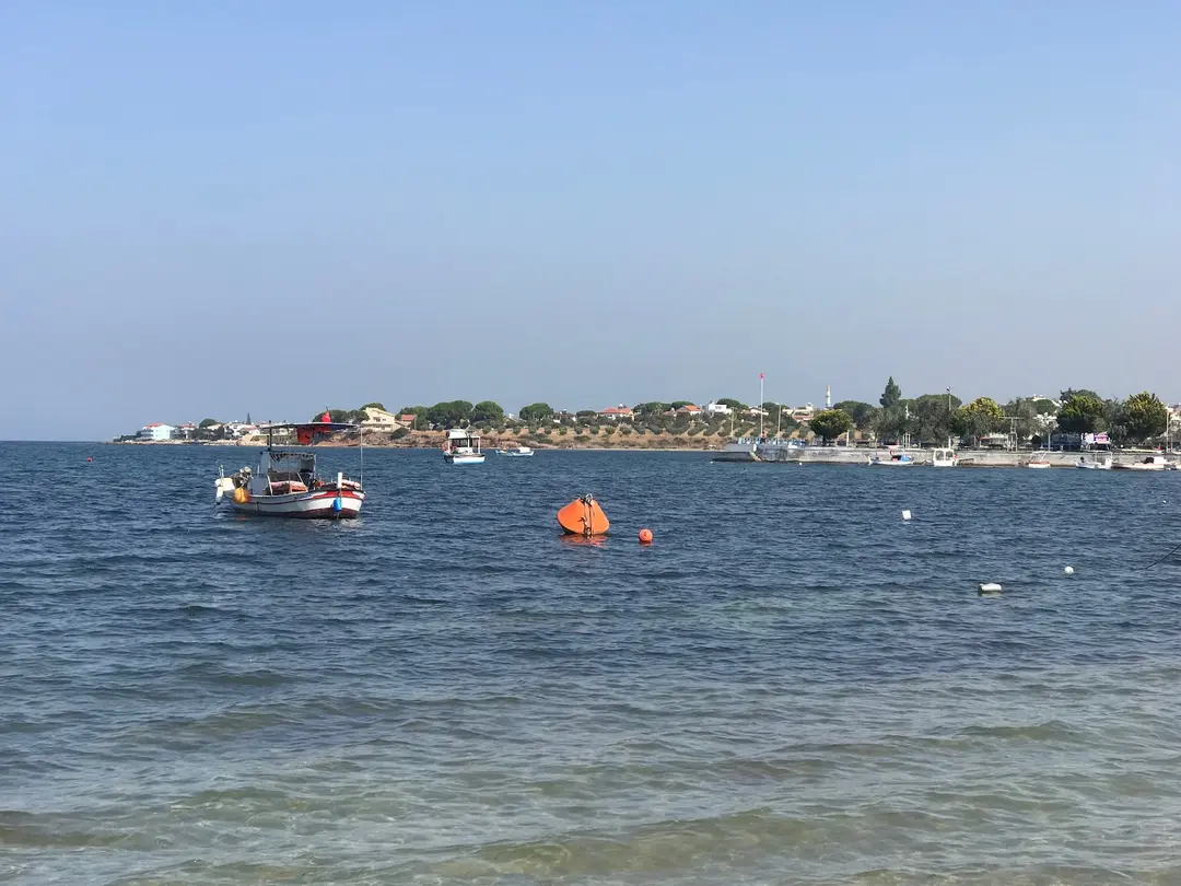 Didim