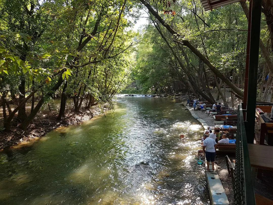 Bozdoğan Municipality Adnan Menderes Picnic Area — Aydın — küçük resim 3