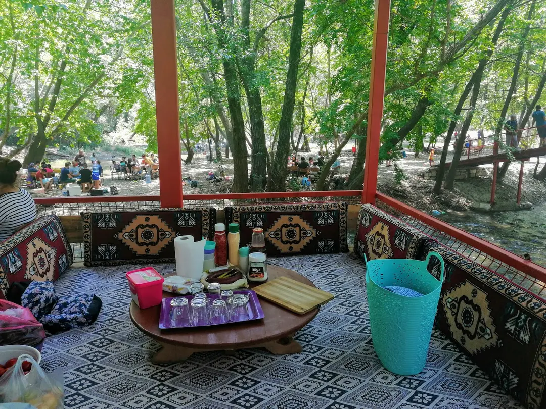 Bozdoğan Municipality Adnan Menderes Picnic Area — Aydın — küçük resim 8