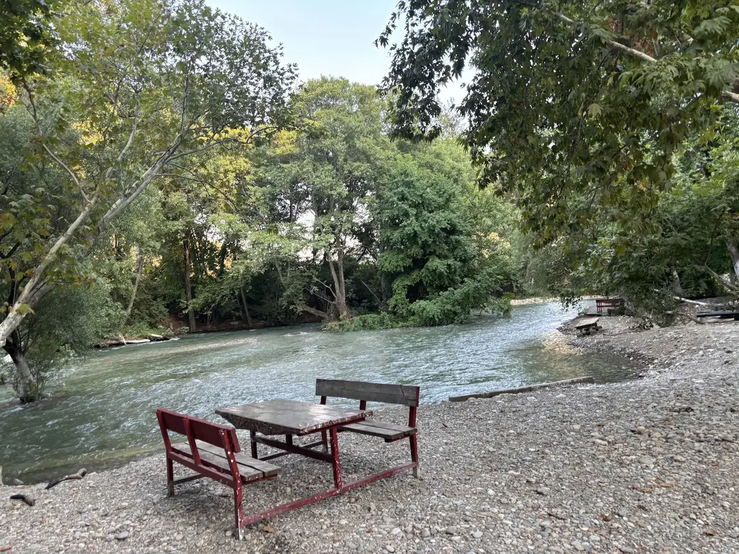 Bozdoğan Municipality Adnan Menderes Picnic Area — Aydın — küçük resim 10
