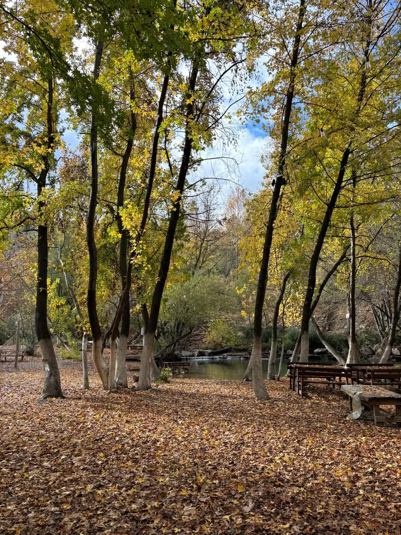 Bozdoğan Municipality Adnan Menderes Picnic Area — Aydın — küçük resim 5