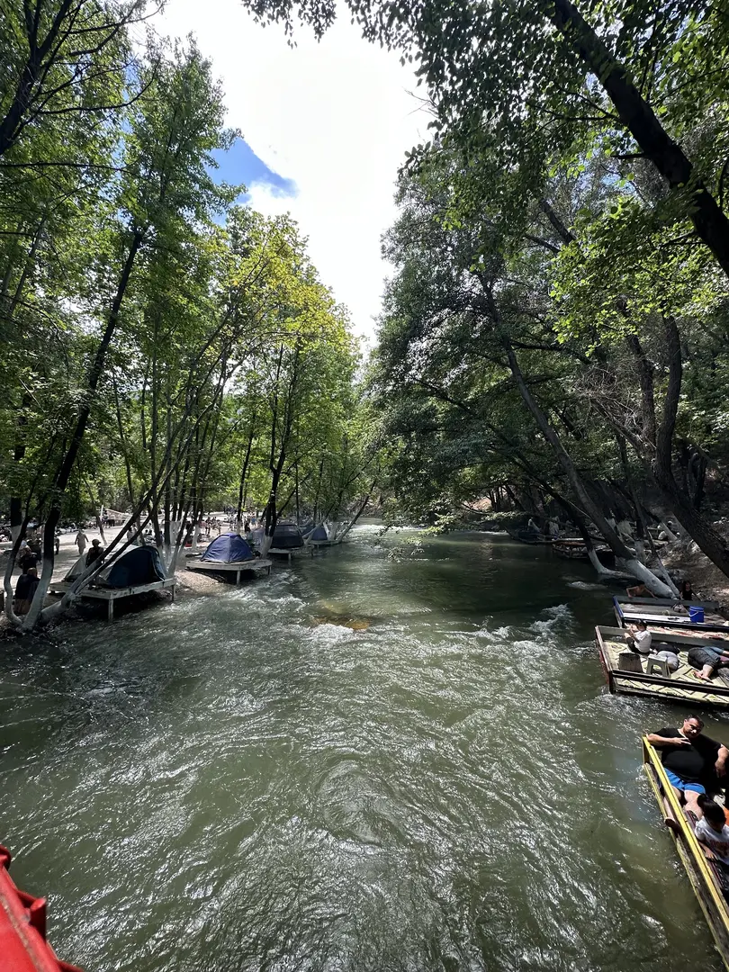 Bozdoğan Municipality Adnan Menderes Picnic Area — Aydın — küçük resim 2