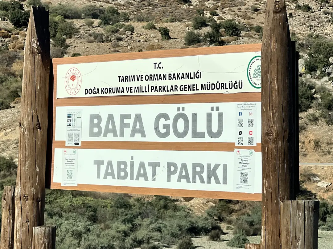 Bafa Lake Nature Park — Aydın — küçük resim 5