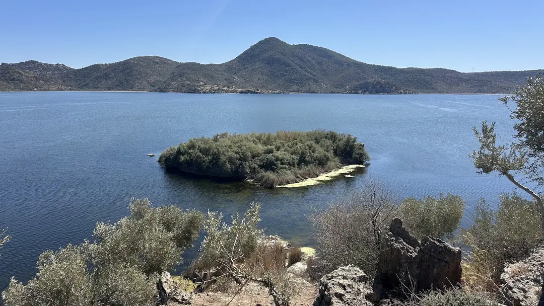 Bafa Lake Nature Park — Aydın — küçük resim 3