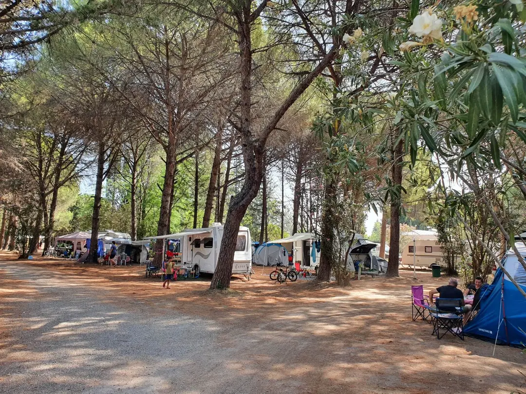 Altin Camp — Balıkesir — küçük resim 6