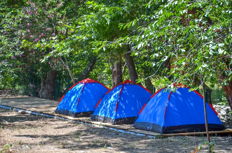 KAZDAĞI KAMP — Balıkesir — küçük resim 6