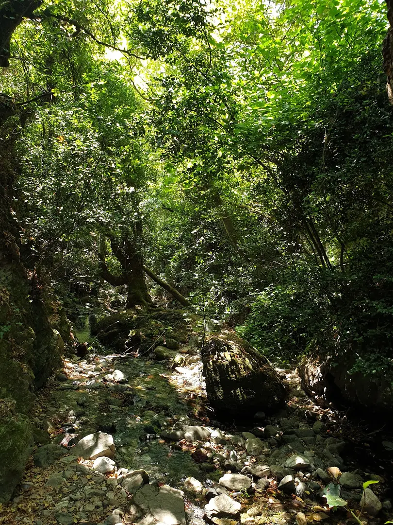 Ağlayan Şelale Camping — Balıkesir — küçük resim 7