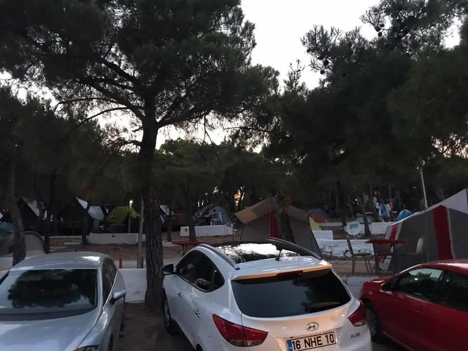 Ayvalık Çamlık Camping — Balıkesir — küçük resim 5