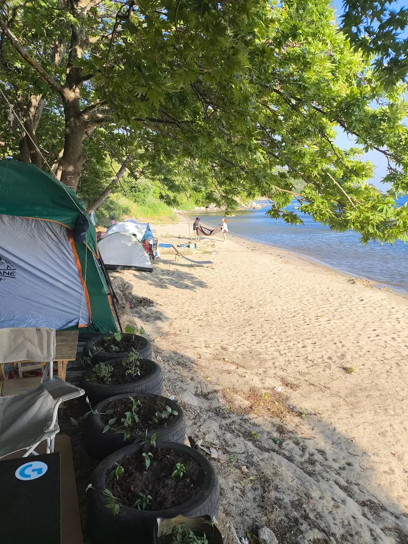 Área de Camping Gratuita — Balıkesir — küçük resim 7