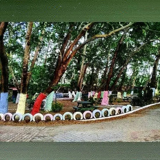 Değirmen Kamp Kazdağları - Hébergement en Bungalows et Tentes — Balıkesir — küçük resim 9