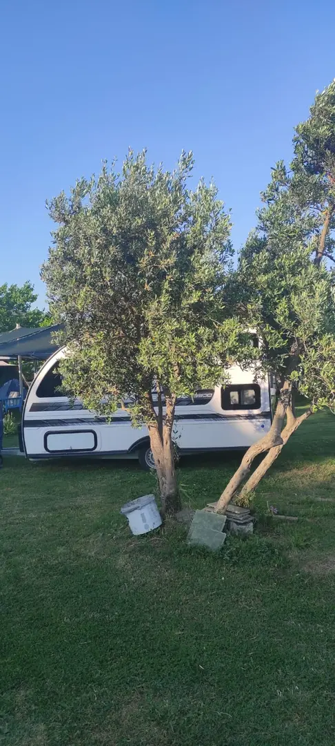mysia beach camping — Balıkesir — küçük resim 3